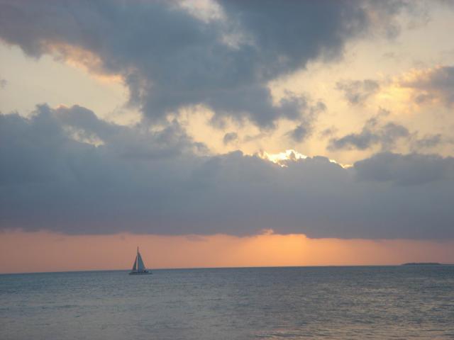 2005/01(Jan)/03(KeyWest)/640x480_2005-01-29 16-57-49.JPG